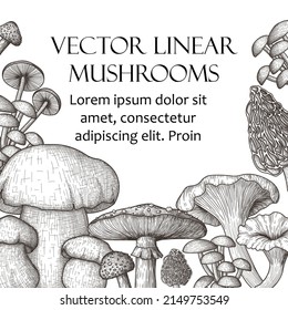 Vector banner template in engraving style. Graphic linear fly agaric, chanterelles, white fungus, honey mushrooms, morel