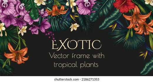 Vector banner template of exotic plants. Graphic linear colored tropical flowers and leaves. Monstera, plumeria, orchid, palm and banana leaves, hibiscus, aralia, tiger lily, strelitzia