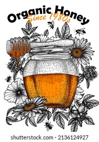 Plantilla de banner vectorial en el estilo de grabado de miel floral. Frasco y cuentagotas de miel lineal, camomila, flores y abejas de trébol y cadera