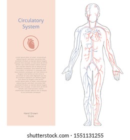 Vector banner template with human circulatory system drawn in retro style with background. The illustration depicts a circulatory system against background of a human silhouette with a place for text.
