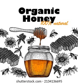 Vector banner template with natural honey. Graphic linear honey dipper, honey jar, clover and chamomile flowers, bees, honeycomb in engraving style