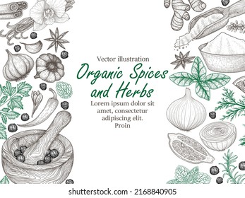 Vector banner template with spices and herbs. Rosemary, Peppercorns, Lavender, Anise, Cinnamon, Onion, Mint, Lemon, Chili, Curry, Parsley, Garlic, Dill, Ginger, Saffron, Basil, Vanilla