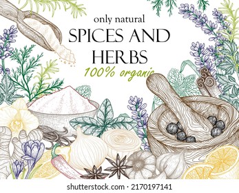 Vector banner template with spices and herbs. Rosemary, peppercorns, vanilla, lavender, anise, cinnamon, onion, mint, lemon, chili, curry, parsley, garlic, dill, parsley, ginger, saffron, basil, vanil