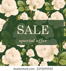 Vector banner template with text Sale, special offer in vintage floral style with cute watercolor roses