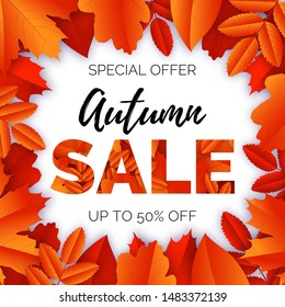 Vector banner with text Autumn Sale and frame of maple, oak, rowan yellow and red leaves on white background. Poster design template.