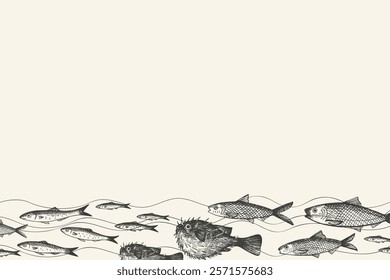 Vector banner for text with engraved Fugu fish, Anchovy, fingerling, carp, sardine. Hand drawn fished border background with sea animals. Seafood, delicacy, marine life, animals. For label, menu, card