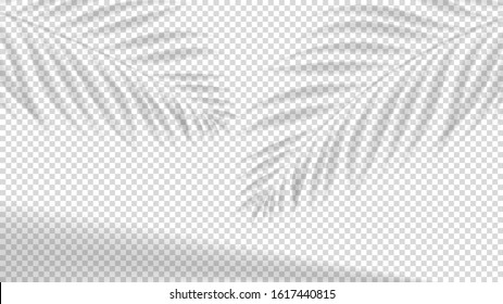 Vector banner with transparent shadow overlay effect. Realistic gray shadows of tropical leaves for decoration. Vector illustration.