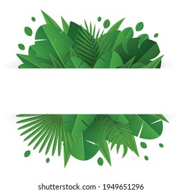 Vector banner with tropical leaves and branches on white background. Spring or summer rain forest leaves with space for your text.