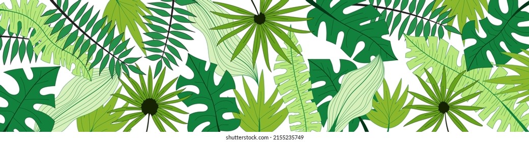 Vector banner of tropical leaves, floral background