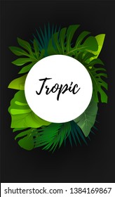 Vector banner with tropical leaves and place for your text. Season vacation, weekend, holiday logo. Exotic botanical design for cosmetics, spa, beauty salon, travel agency, florist shop. 