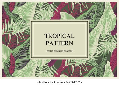 vector banner with tropical plants in a trend. stylish, vector, plant, exotic illustration. trendy pattern illustration
