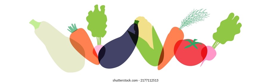 Vector banner with vegetables: carrot, radish, tomato, corn isolated on white background. For feast invitation, article, card, flyer, packaging design, template labels, poster, web, advertising banner