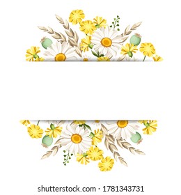 Vector banner with white daisies and yellow wild flowers and ears of wheat. 