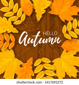  Vector banner with yellow cartoon leaves and white text Hello Autumn on brown brush textured background.