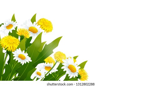 Vector banner with yellow dandelions and chamomiles flowers.Vector banner with flowers on black background.Offer Banner, Poster, Flyer