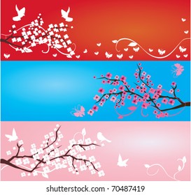 vector banners with blossom branches and birds