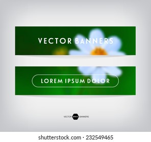 Vector banners with blurred unfocused retro photographic background. White daisy.