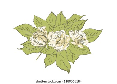 Vector banners with garden roses flowers on white background. 7
