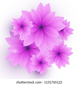 Vector  banners with isolated pink  flowers. Can be used as greeting card or wedding invitation