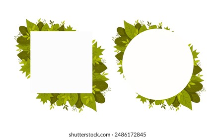 Vector banners set with green forest leaves on white background. Botanical concept for cosmetics, spa, beauty salon, travel agency or florist shop.