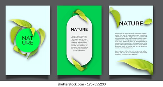 Vector banners set with green tropical leaves background. Exotic botanical design for cosmetics, spa, perfume, beauty salon, travel agency, florist shop. Best as wedding invitation cards