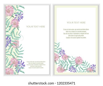 Vector banners set with Luxurious summer wild flowers.Template for greeting cards, wedding decorations, invitation ,sales. Spring or summer design. Place for text.