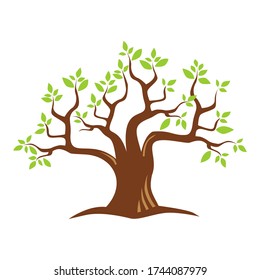 
vector banyan tree shady with white background