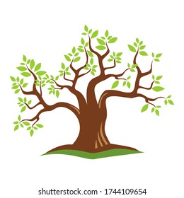 
vector banyan tree shady with white background