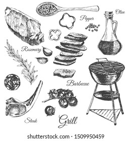 vector barbecue ingredients set. hand drawn meat illustration. sketch of steak, grill, rib, rosemary, olive oil and spices