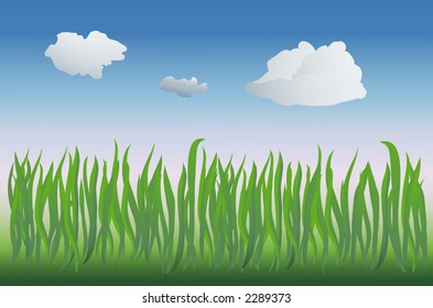 vector based illustration of a grassy field closeup