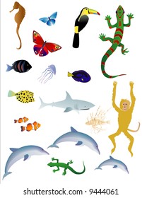 Vector bases illustration of various animals on white background