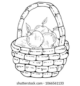 Vector of a basket with apples. Hand drawn beautiful wicker basket with apples.