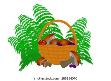 Vector basket full of mushrooms with blueberries and fern leaves