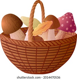Cesta vectorial con hongos aislados en fondo blanco