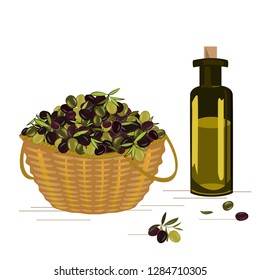 Vector basket with ripe olives harvest and the gleass bottle with olive oil