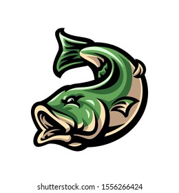 Vector of bass fish illustration