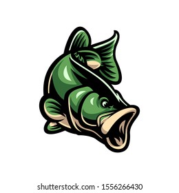 Vector of bass fish illustration