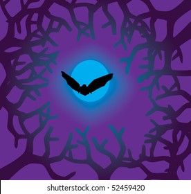 vector bat and night sky