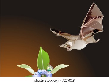 vector. bat on hunting