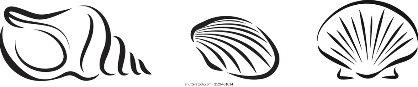 Vector Beach Seashells Line Art