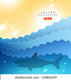 Vector beach and shark