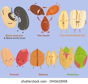 Vector of Bean, Nut, Seed - Black-eyed pea, Black turtle bean, Flax Seed, Oat seed,  Rolled Oat, Peanut, Walnut, Pistachio. A set of cute colorful legume icon collection isolated on white background