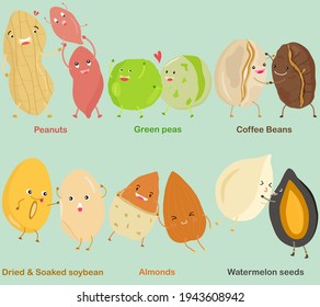 Vector of Bean, Nut, Seed - Peanut, Green pea, Coffee Bean, Soybean, Almond, Watermelon seed. A set of cute colorful legume icon collection isolated on white background. 