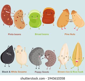 Vector Bean  Nut  Seed    Pinto bean  Broad bean  Pine Nut  Black White Sesame  Poppy Seed  Brown rice  Rice husk  A set cute colorful legume icon collection isolated white background