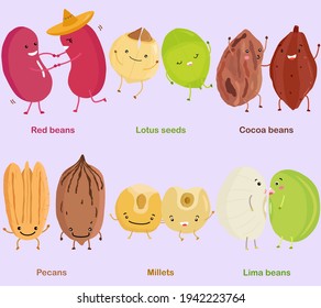 Vector of Bean, Nut, Seed - Red bean, Lotus seed, Cocoa bean, Pecan, Millet, Lima bean. A set of cute colorful legume icon collection isolated on white background