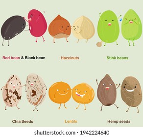 Vector of Bean, Nut, Seed - Red bean, Black bean, Hazelnut, Stink bean, Chia Seed, Lentil, Hemp seed. A set of cute colorful legume icon collection isolated on white background