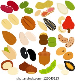 Vector of Beans, Nuts, Seeds - red green beans, peanut, pumpkin seed, macadamia, pistachio, cashew nut, walnut, etc. A set of cute and colorful icon collection isolated on white background