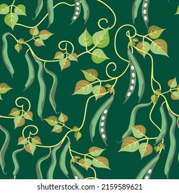 Vector - Patrón de marea de judías, ilustración acuarela de verduras.