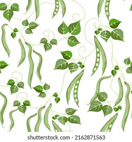 Vector - Beans seamess pattern, watercolor illustration of vegetables.