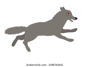 Vector bear european forest animal flat cartoon style isolated on white wolf